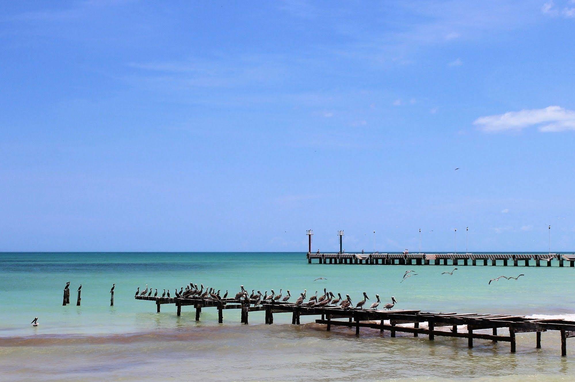 Cabanas El Cuyo Ngoại thất bức ảnh